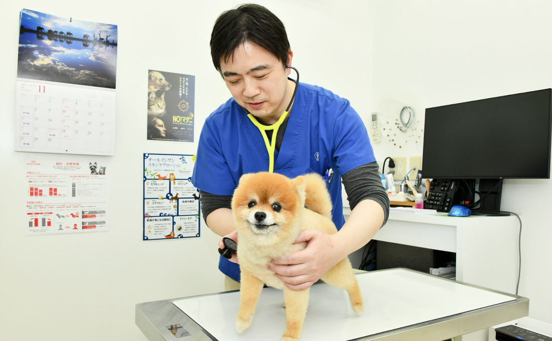 柔軟な対応ができる